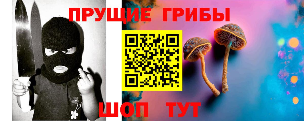 Галлюциногенные грибы мухоморы Саянск